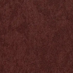 Tarkett DESSO Desert - 712089004 AC89 2117