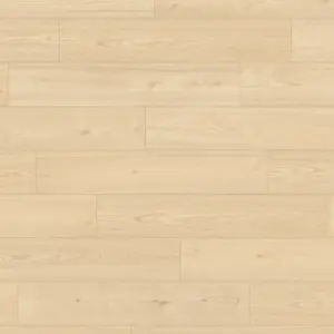 Kastanie Rana Avatara - Designboden zum Klicken