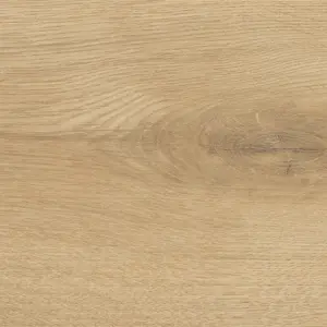 Eiche Siena puro Sonderedition NKL31, Sonderedition NKL31 Silent Pro