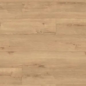 Eiche Music Store Grand Edition