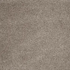 39 Majestic, Maverick Wall to Wall - 4-Meter Breit Teppichboden