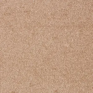 41 Sensation New, Sensualite - 5-Meter Breit Teppichboden