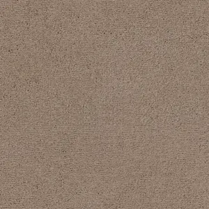 0421 BIEBER SmartStrand - 4-Meter Breit Teppichboden