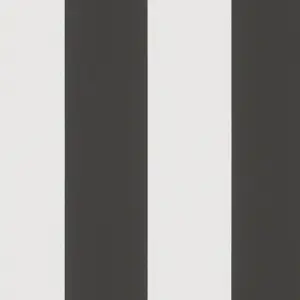 Black & White - Vliestapete