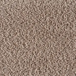 0420 BIBER X Wohnen - 4-Meter Breit Teppichboden