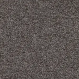 0831 ASH X Wohnen - 5-Meter Breit Teppichboden