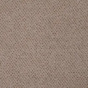 262 CAMEL Pilotis - 4-Meter Breit Teppichboden