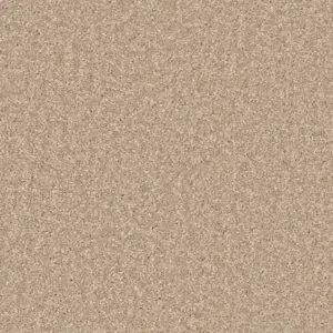 250 NATURELL Pilotis - 4-Meter Breit Teppichboden