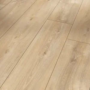 Eiche Nova hell gekälkt Naturstruktur 4V Trendtime 6