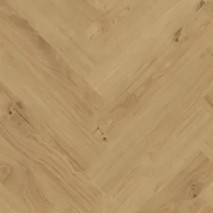 Foehn Camel Home for Future - zum Kleben