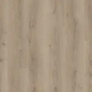 Quick-Step - MJ3552