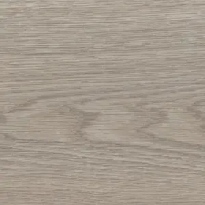 Eiche Flavia grau Tritty 100 Campus, Tritty 100 Campus 4V