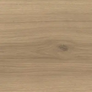 HARO Tritty 100 Campus, Tritty 100 Campus 4V Silent CT - 538762 Eiche Emilia puro