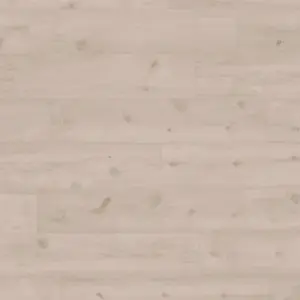 Erle Feng Shui Trend Edition