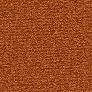 2F34 Fascination, Lyrica - 5-Meter Breit Teppichboden