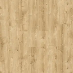 GALWAY OAK Moduleo Roots - Vinylboden zum Kleben