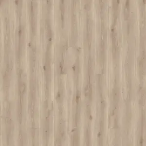 Minimalistic Flair Grege Home for Future - Rigid Vinyl