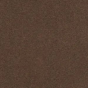 0413 LEDER Dream - 4-Meter Breit Teppichboden