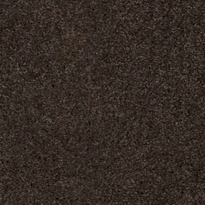 0401 KAFFE SmartStrand - 4-Meter Breit Teppichboden