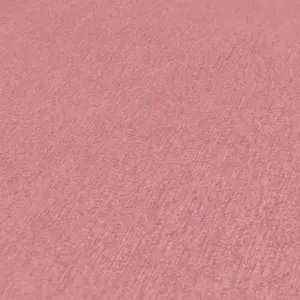 Attractive 2 - Vliestapete