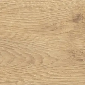 Eiche Portland puro Tritty 100 Campus, Tritty 100 Campus 4V Silent Pro