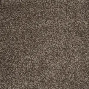 40 Majestic, Maverick Wall to Wall - 4-Meter Breit Teppichboden