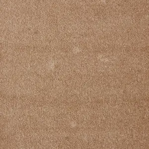 41 Seduction, Sensualite - 5-Meter Breit Teppichboden