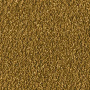 2F97 Fascination, Alba - 4-Meter Breit Teppichboden