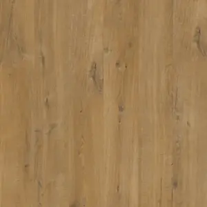 Eiche Baumwolle natürlich Alpha Vinyl Bloom - Klick-Vinyl, Rigid Vinyl