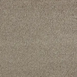 0420 BIBER SmartStrand - 4-Meter Breit Teppichboden