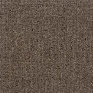 0411 LEDER SmartStrand - 4-Meter Breit Teppichboden