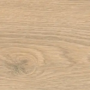 HARO Tritty 100 Gran Via, Tritty 100 Gran Via 4V Silent Pro - 544736 Eiche Flavia puro