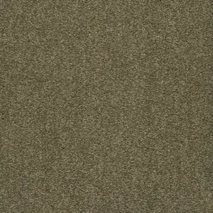 0480 GERSTE X Wohnen - 5-Meter Breit Teppichboden