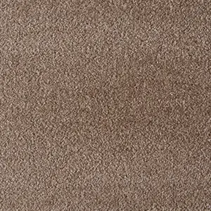 0264 BEIGE X Wohnen - 4-Meter Breit Teppichboden