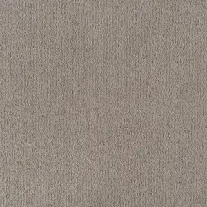 0840 MOONSHINE X Wohnen - 4-Meter Breit Teppichboden