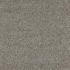 0840 MOONSHINE X Wohnen - 4-Meter Breit Teppichboden