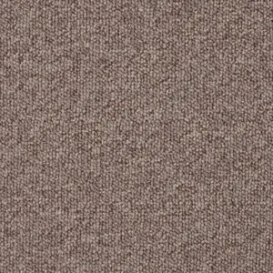 270 ALMOND Pilotis - 4-Meter Breit Teppichboden