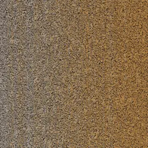 Tarkett - 710512051 B755 5433