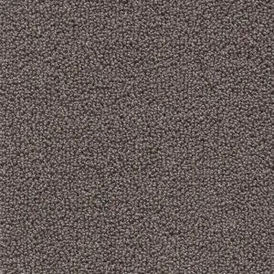 48 Pride - 5-Meter Breit Teppichboden