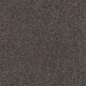 0834 GRAU SmartStrand - 5-Meter Breit Teppichboden