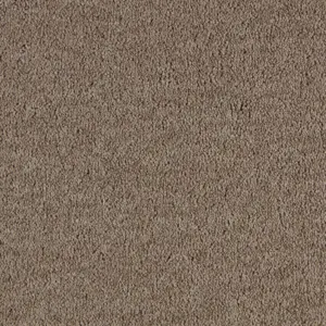 0430 SABLE SmartStrand - 5-Meter Breit Teppichboden