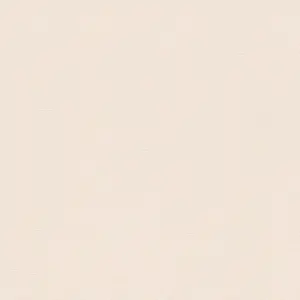 Desert Lodge - Vinyltapete