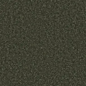 590 MOOS Pilotis - 4-Meter Breit Teppichboden