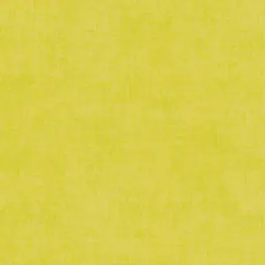 Lilly & Luis - Vliestapete