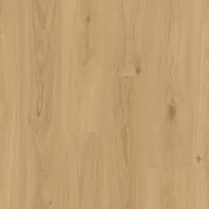 Tarkett Home for Future Halny Blonde - HFF2004T - Vinylboden Klebevinyl Halny Blonde Home for Future - zum Kleben