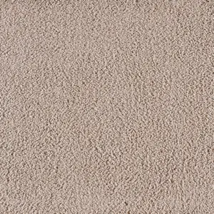 0260 BEIGE X Wohnen - 4-Meter Breit Teppichboden