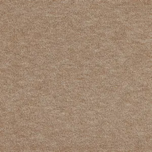 0264 CAMEL X Wohnen - 5-Meter Breit Teppichboden