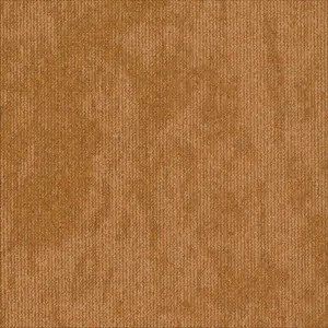 Tarkett DESSO Desert - 712089009 AC89 5402