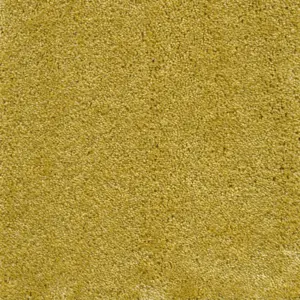 54 Lounge - 5-Meter Breit Teppichboden