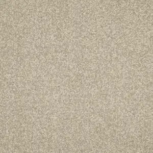 35 Miracle, Maverick Wall to Wall - 4-Meter Breit Teppichboden